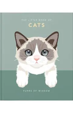 The Little Book of Cats: Purrs of Wisdom - Hippo! Orange