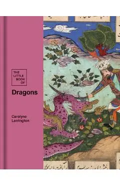 The Little Book of Dragons - Carolyn Larrington