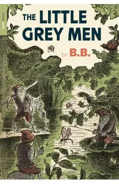 The Little Grey Men - B. B.
