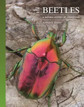 The Lives of Beetles: A Natural History of Coleoptera, Hardcover/Arthur V. Evans