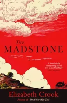 The Madstone, Paperback/Elizabeth Crook