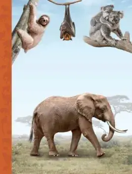The Magnificent Book of Animals, Hardback/***