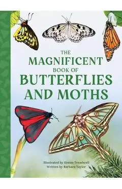 The Magnificent Book of Butterflies & Moths - Barbara Taylor