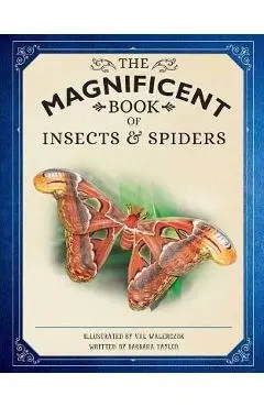 The Magnificent Book of Insects and Spiders: (Animal Books for Kids, Natural History Books for Kids) - Weldon Owen