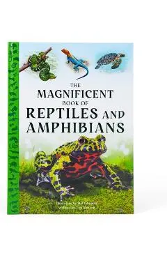 The Magnificent Book of Reptiles and Amphibians - Tom Jackson