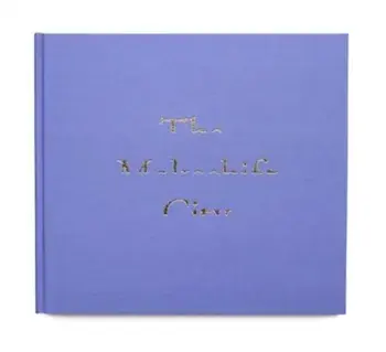 The Makeshift City, Hardback/Joshua Dudley Greer