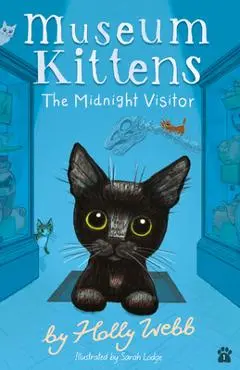 The Midnight Visitor - Holly Webb