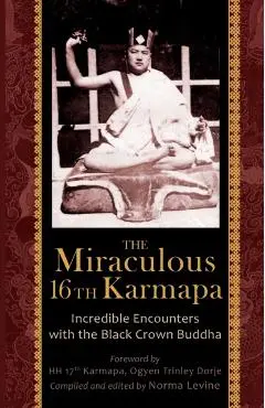 The Miraculous 16th Karmapa - Naomi Levine