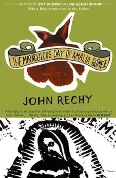 The Miraculous Day of Amalia Gamez, Paperback/John Rechy