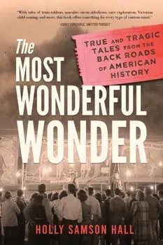 The Most Wonderful Wonder: True and Tragic Tales From the Back Roads of American History, Paperback/Holly Samson Hall
