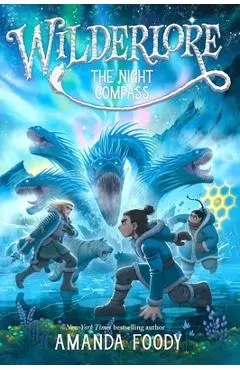 The Night Compass - Amanda Foody
