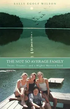 The Not So Average Family, Paperback/Sally Egolf Wilson