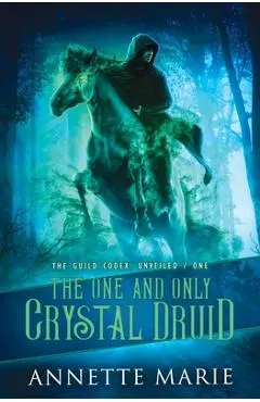 The One and Only Crystal Druid - Annette Marie