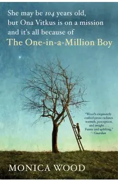 The One-In-A-Million Boy - Monica Wood