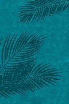 The Passion Translation New Testament (2020 Edition) Large Print Teal: With Psalms, Proverbs and Song of Songs, Imitation Leather/Brian Simmons