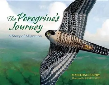 The Peregrine's Journey: A Story of Migration, Paperback/Madeleine Dunphy