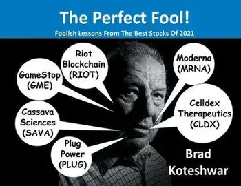 The Perfect Fool!: Foolish Lessons From The Best Stocks Of 2021, Paperback/Brad Koteshwar