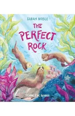 The Perfect Rock - Sarah Noble