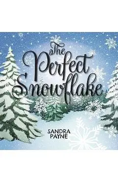 The Perfect Snowflake - Sandra Payne