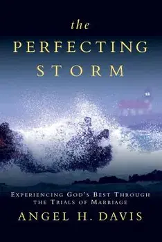 The Perfecting Storm: Experiencing God's Best Through the Trials of Marriage, Paperback/Angel H. Davis