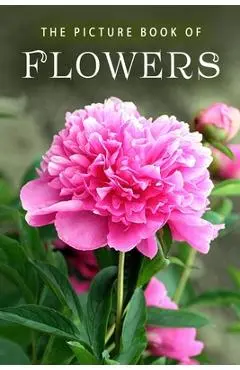 The Picture Book of Flowers: A Gift Book for Alzheimer's Patients and Seniors with Dementia - Sunny Street Books