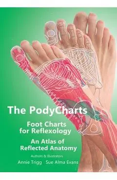 The PodyCharts Foot Charts for Reflexology: An atlas of reflected anatomy - Annie Trigg