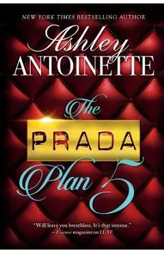 The Prada Plan 5 - Ashley Antoinette