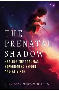 The Prenatal Shadow: Healing the Traumas Experienced Before and at Birth - Cherionna Menzam-sills