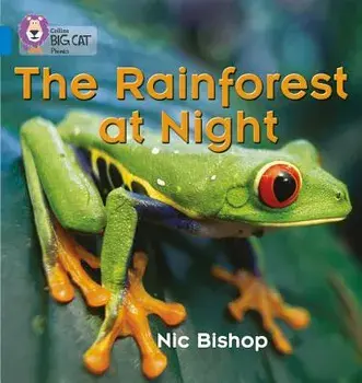 The Rainforest at Night, Paperback/Nic Bishop