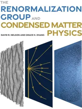 The Renormalization Group and Condensed Matter Physics, Hardback/Grace H. Zhang