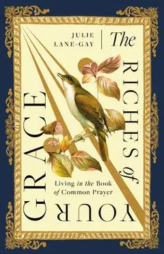 The Riches of Your Grace: Living in the Book of Common Prayer - Julie Lane-gay