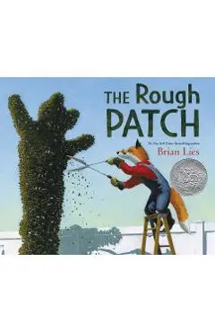 The Rough Patch - Brian Lies