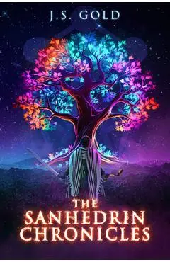 The Sanhedrin Chronicles - J. S. Gold
