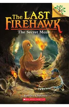 The Secret Maze: A Branches Book (the Last Firehawk #10), 10 - Katrina Charman