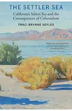 The Settler Sea: California's Salton Sea and the Consequences of Colonialism - Traci Brynne Voyles
