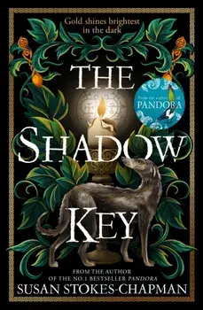 The Shadow Key, Hardback/Susan Stokes-Chapman
