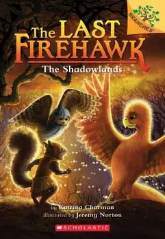The Shadowlands, Paperback/Katrina Charman