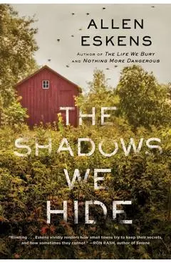 The Shadows We Hide - Allen Eskens