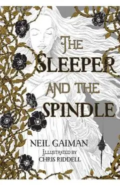 The Sleeper and the Spindle - Neil Gaiman