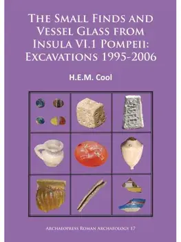The Small Finds and Vessel Glass from Insula VI.1 Pompeii: Excavations 1995-2006, Paperback/***