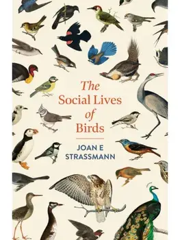 The Social Lives of Birds, Hardback/Joan E. Strassmann
