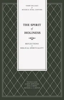 The Spirit of Holiness: Reflections on Biblical Spirituality, Paperback/Terry Delaney