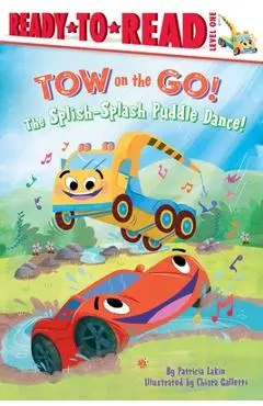 The Splish-Splash Puddle Dance!: Ready to Read Level 1 - Patricia Lakin