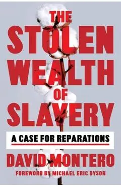 The Stolen Wealth of Slavery: A Case for Reparations - David Montero