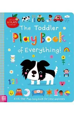 The Toddler Play Book of Everything! - Sarah Creese