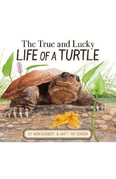 The True and Lucky Life of a Turtle - Sy Montgomery