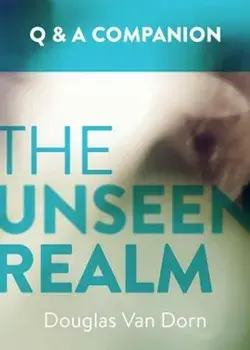 The Unseen Realm: A Question & Answer Companion, Paperback/Douglas Van Dorn