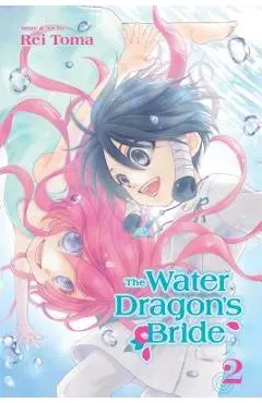 The Water Dragon's Bride, Vol. 2 - Rei Toma