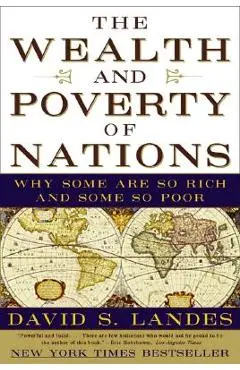 The Wealth and Poverty of Nations: Why Some Are So Rich and Some So Poor - David S. Landes