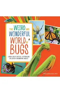 The Weird and Wonderful World of Bugs: A Book about Beetles, Butterflies, and Other Fascinating Insects - Rea Manderino